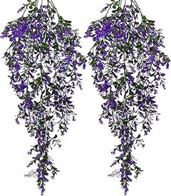 Cuándo es el mejor momento para podar plantas colgantes