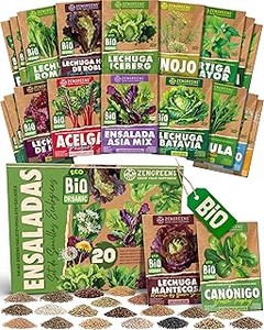 La mejor época para sembrar hortalizas de hoja en tu huerto