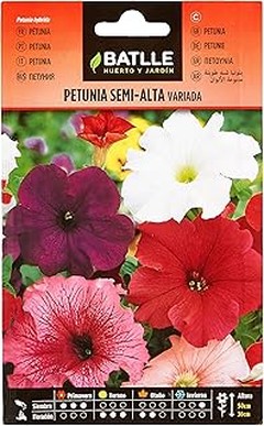 El momento ideal para sembrar semillas de flores perennes