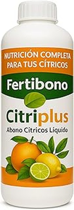 ¿Cuándo y cómo fertilizar tus cítricos de manera efectiva?