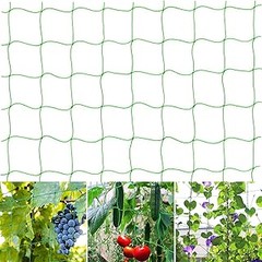 Tiempo de crecimiento de enredaderas para jardines pequeños