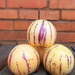 Tiempo de producción de frutales de pepita en tu jardín