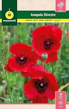 Cómo cuidar las flores para polinizadores durante el invierno