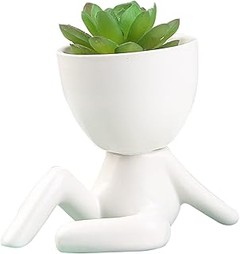 Cómo Mantener en Buen Estado tus Macetas de Cactus y Suculentas