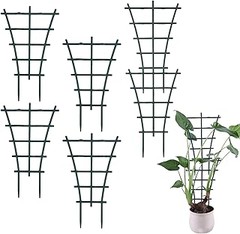Cómo Mantener tus Plantas Trepadoras Saludables y Fuertes