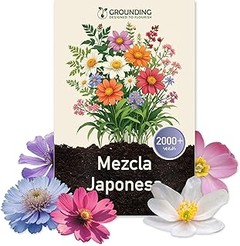 Cuidados Posteriores a la Siembra de Semillas de Pradera Floral
