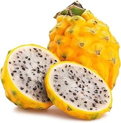 Cómo Cuidar los Frutales de Pepita Después de la Cosecha