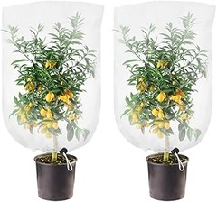 Consejos para el Mantenimiento de Mallas Antiplagas en tu Huerto