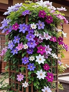 ¿Qué son los kits de semillas y bulbos listos para plantar?