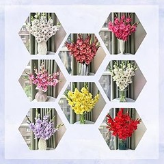 Mejores sitios para adquirir bulbos de flores de verano