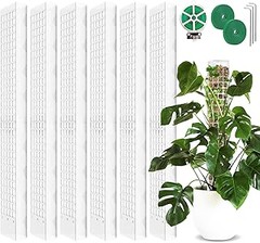 Mejores lugares para comprar enredaderas en jardines pequeños