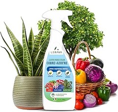 Mejor guía para comprar fungicidas para tus plantas ornamentales