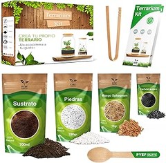 Mejores lugares para comprar kits de inicio de plantas de interior y sus precios