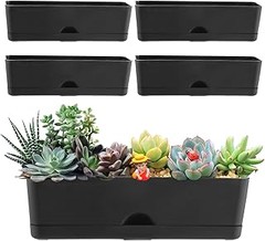 Mejores lugares para comprar macetas de plástico para exterior
