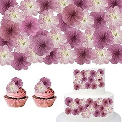 Mejores lugares para comprar packs de berries para setos comestibles