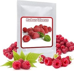 Mejores lugares para comprar plantas de zarzamoras y frambuesas