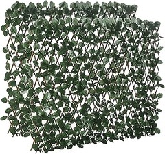 Cómo las enredaderas pueden mejorar la eficiencia energética de tu terraza