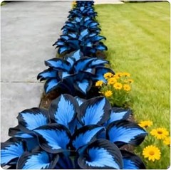 Problemas comunes al plantar en parterres y sus soluciones