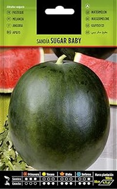 Problemas frecuentes al cultivar frutales de pepita y cómo solucionarlos