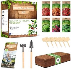 Problemas frecuentes al cultivar semillas en macetas y sus soluciones