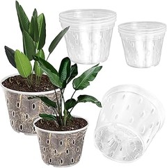 Evita estos errores al seleccionar macetas para tus orquídeas