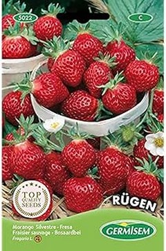 Principales errores al sembrar hortalizas de fruto en tu huerto