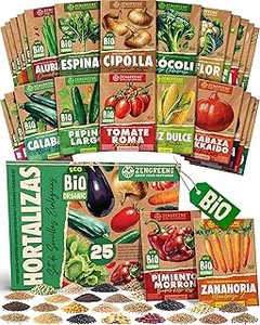 Errores frecuentes al plantar semillas de hortalizas y cómo solucionarlos