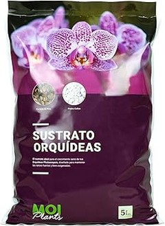 Problemas frecuentes al elegir sustrato para orquídeas