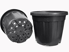 Problemas frecuentes al usar contenedores grandes para tus plantas