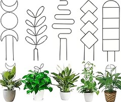 ** Problemas frecuentes al usar enrejados y tutores para trepadoras