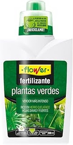 ¿Cada cuánto debemos fertilizar nuestras plantas verdes?