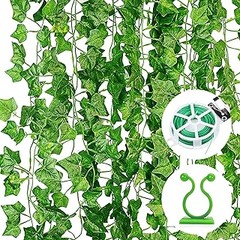 Cómo elegir enredaderas de hoja caduca: guía de compra