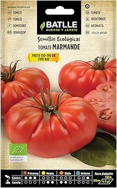 Cómo sembrar semillas ecológicas: guía paso a paso