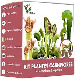 Cómo seleccionar el mejor kit de inicio de plantas de interior