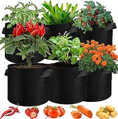 ¿Cómo elegir la mejor bolsa de cultivo para hortalizas?