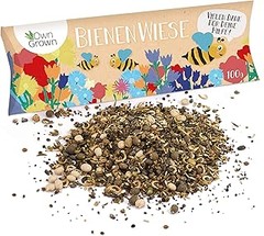 Cómo Elegir las Mejores Semillas de Flores para Atraer Abejas