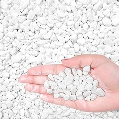 Cómo elegir las mejores plantas para rocallas y jardines de piedra