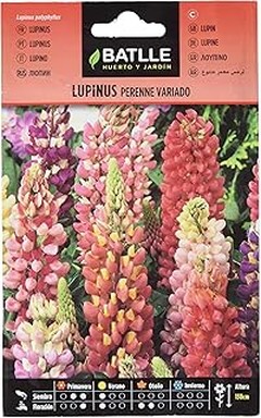 Comparativa de las mejores flores perennes para climas cálidos