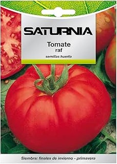 Semillas ideales para cultivar en tu huerto urbano en balcones