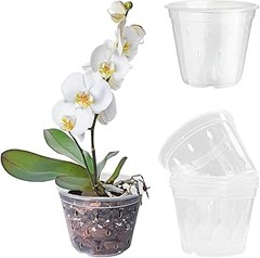 ¿Qué tipo de macetas son adecuadas para orquídeas?