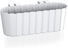 Cómo mantener tus macetas colgantes en perfecto estado