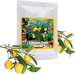 Cómo mantener tus frutales de pepita a lo largo del año