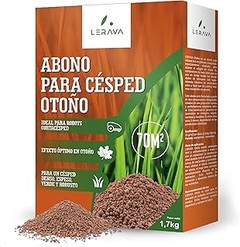 ¿Cuándo es el mejor momento para fertilizar el césped?