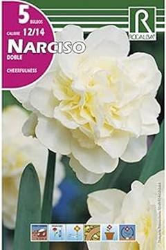 Los mejores abonos para bulbos de tulipanes y narcisos