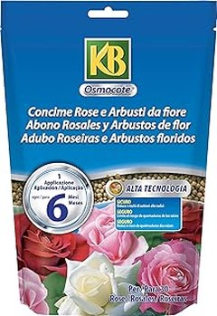 Abonos efectivos para promover la floración de rosales