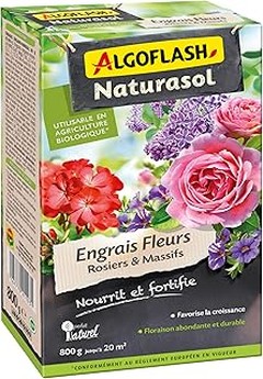 Los mejores abonos para rosales en macetas que debes considerar