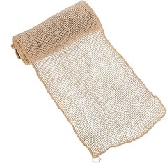 ¿Cuáles son los mejores árboles resistentes al frío?