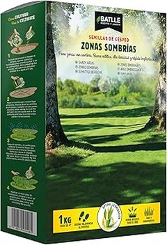 Recomendaciones para plantar varios árboles de sombra en el jardín