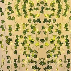 Las mejores enredaderas de hoja caduca para climas mediterráneos