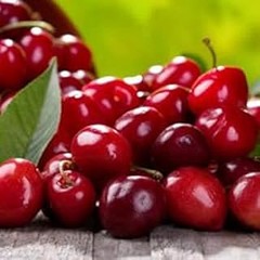 Top frutales enanos que puedes cultivar en casa